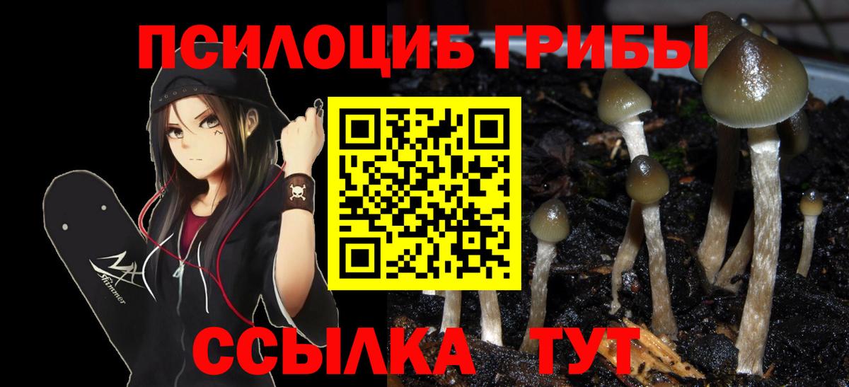 Галлюциногенные грибы ЛСД  Псилоцибиновые грибы мухоморы  Вход с VPN  Урай 