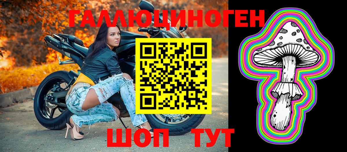 Галлюциногенные грибы Psilocybe Урай